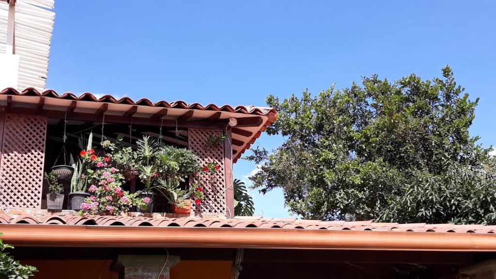 El Portal De Mariana in Pereira, Colombia