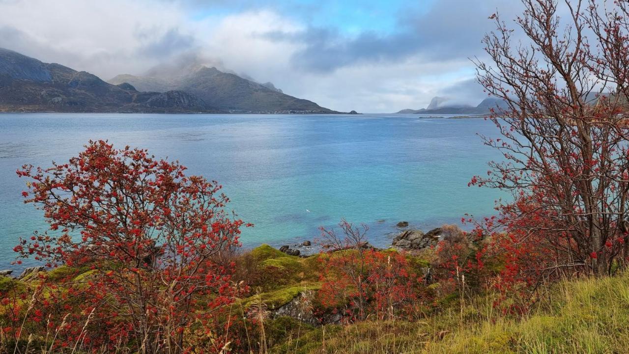 Ocean View Panorama — Gravdal — photo 3
