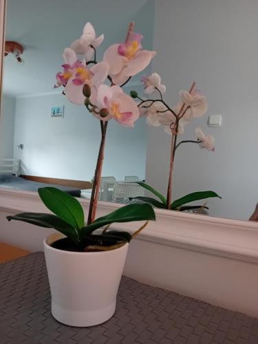 Pokoje Grażyna in Jastarnia, Poland