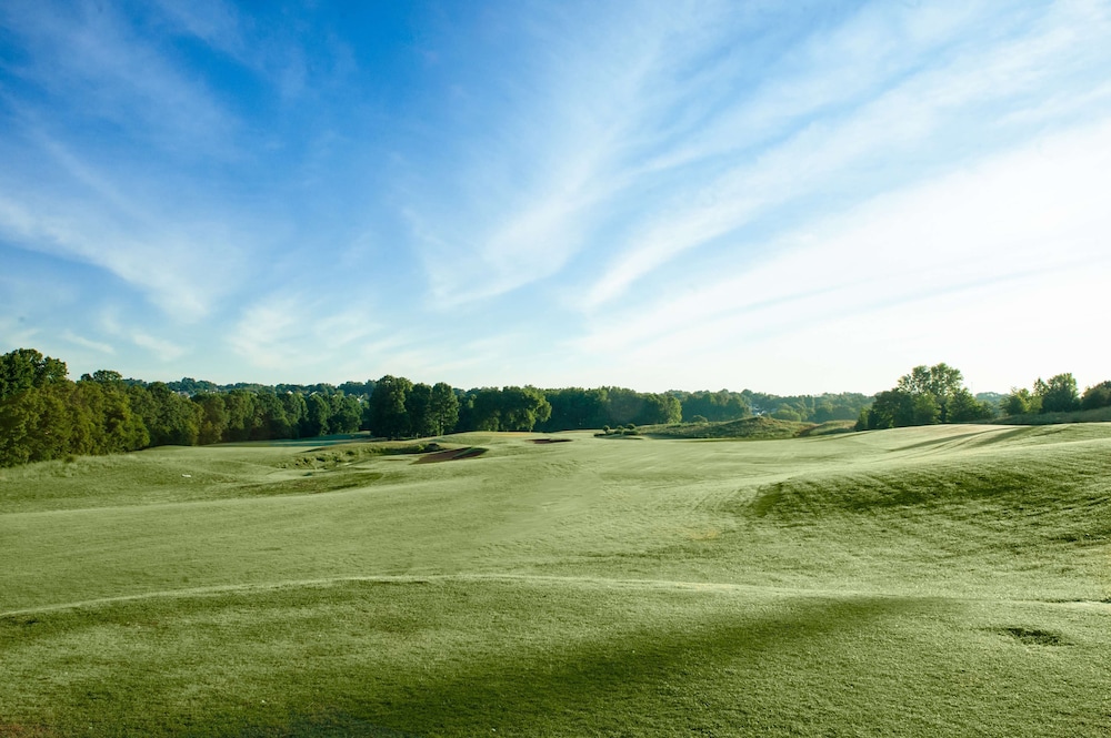 Embassy Suites by Hilton Charlotte Concord Golf Resort & Spa - photo 72
