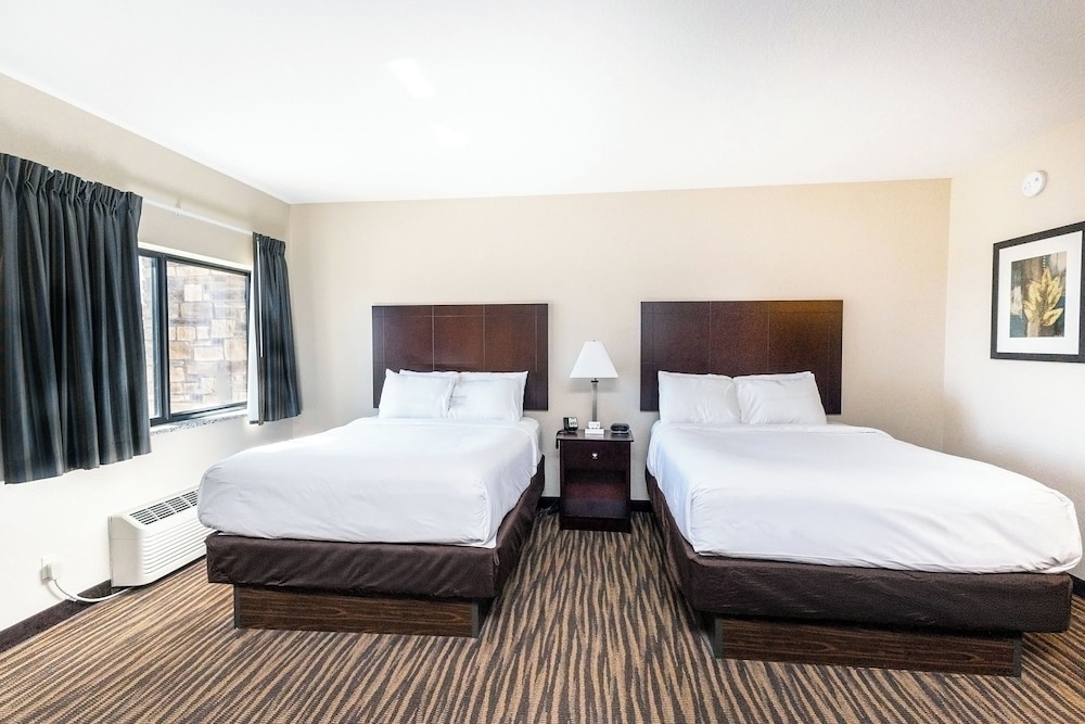 Cobblestone Inn & Suites Maryville - photo 35