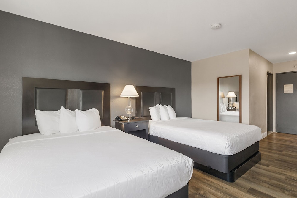 Sutter Inn - photo 7