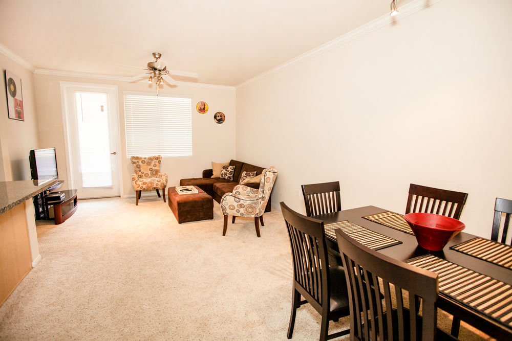 Hollywood Boulevard Extended Stay - photo 11