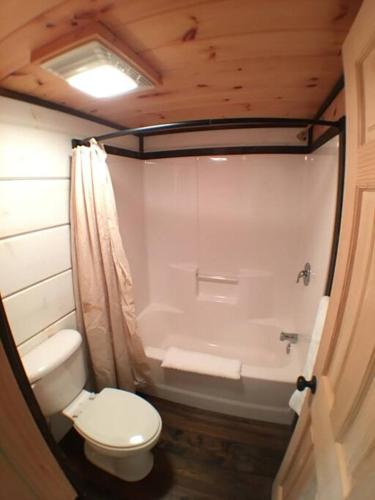 Tiny Home Cottage Near the Smokies #10 Helena - photo 9