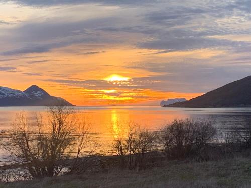 Lyngen Biarnes Nordreisa in Unknown City, Norway