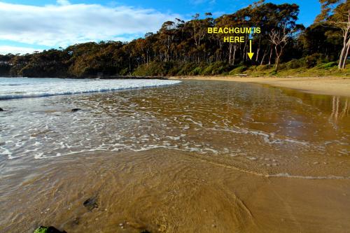 Beachgum — hotel in Sunshine Bay