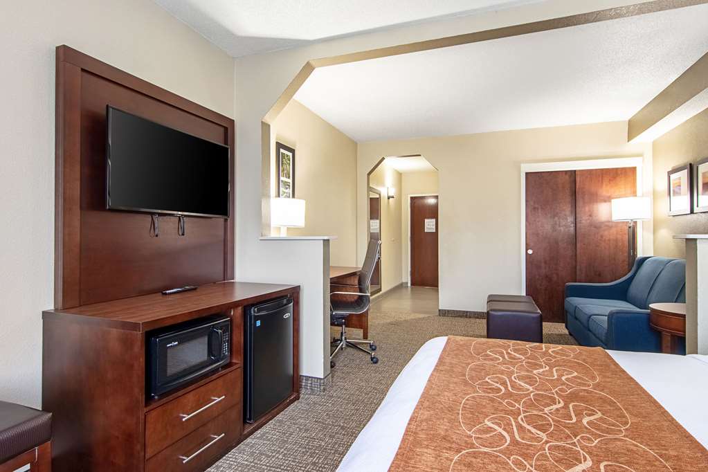 Comfort Suites Knoxville Airport - photo 16