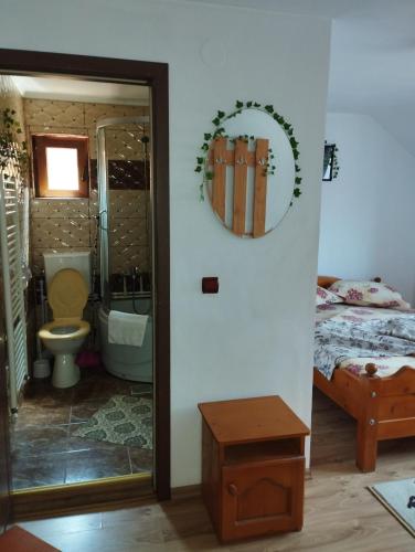 Cabana Dănuțza — Arieseni — photo 3
