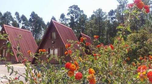 Parque De Campismo De Luso — Luso
