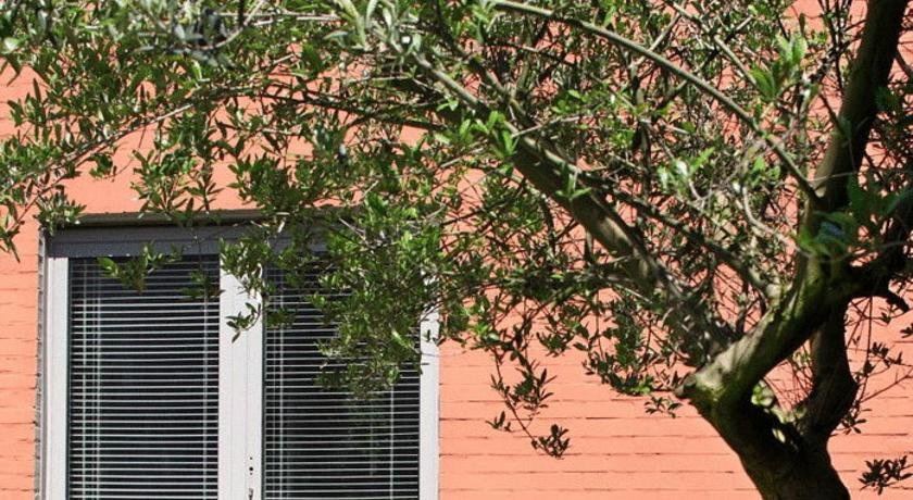 Midisud in Gent, Belgium