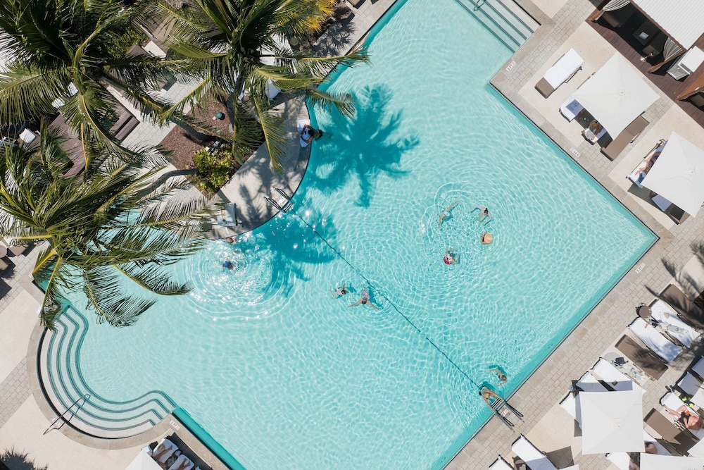 The Ritz Carlton Key Biscayne Miami - photo 42