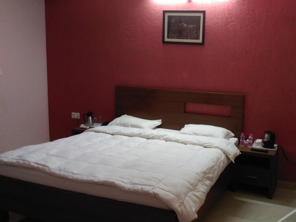 The Raj Palace — Rewari — photo 3