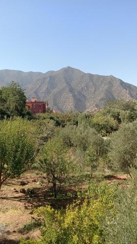 Dar touften — Unknown City — photo 4