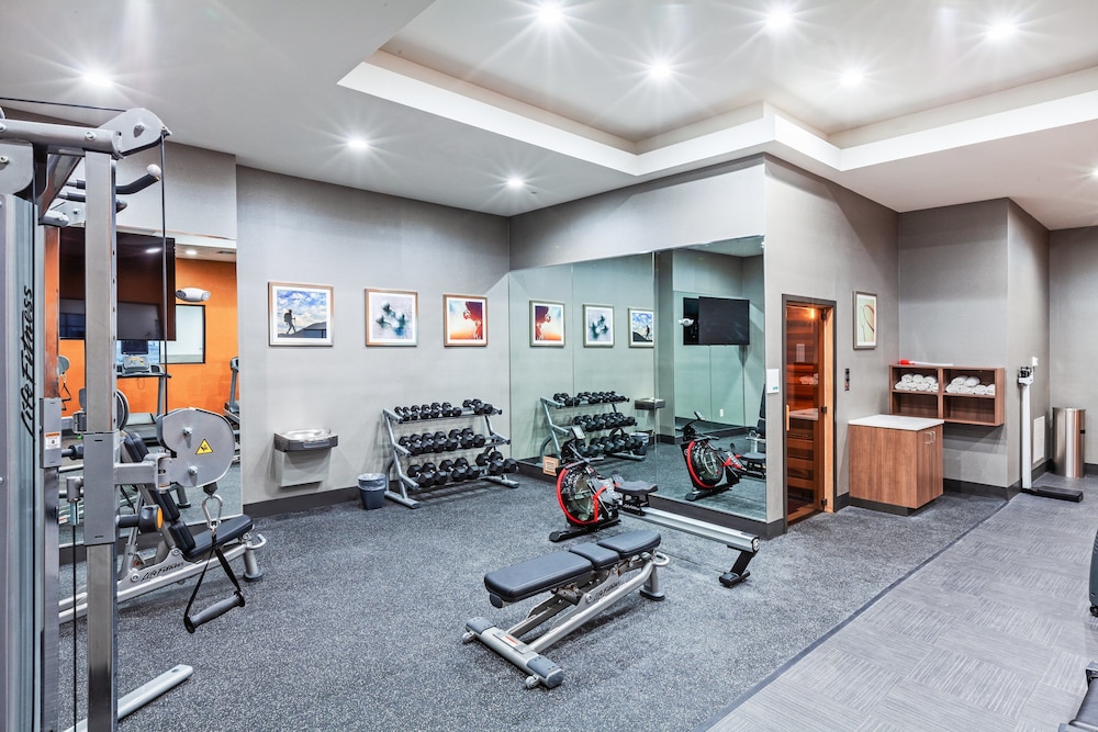 Holiday Inn Lubbock South by IHG - photo 13