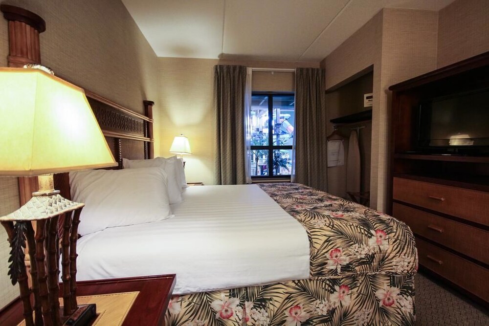 Maui Sands Resort & Indoor Waterpark - photo 24