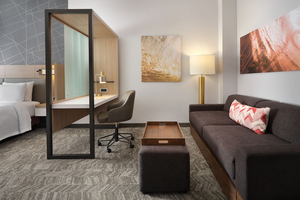 SpringHill Suites by Marriott Jacksonville Baymeadows - photo 9
