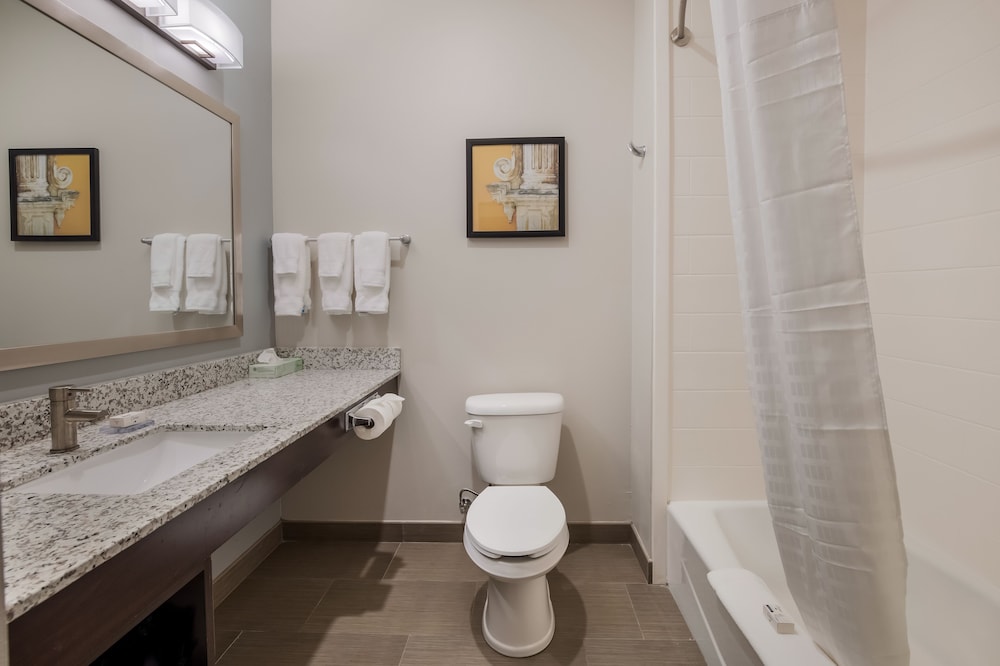 Hawthorn Extended Stay by Wyndham Sulphur - photo 15