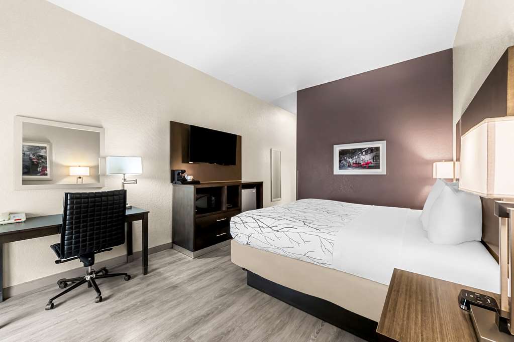 Best Western Boerne Inn & Suites - photo 15