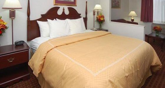 Comfort Suites at UNT - photo 12