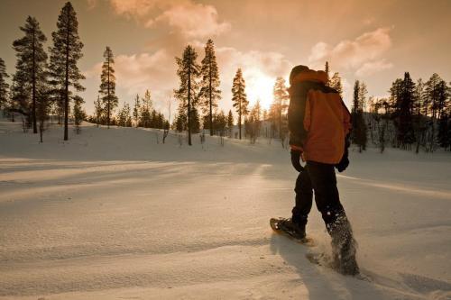 Arctic River Lodge — Pajala — photo 4