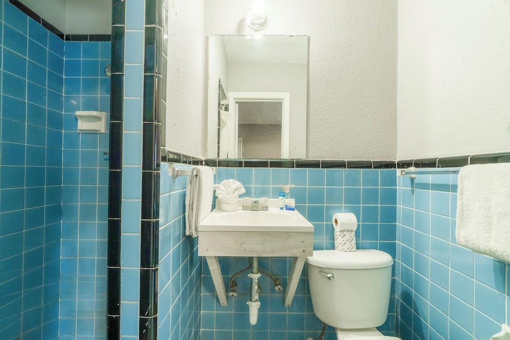 Alamo Oasis Inn And Suites By Oyo San Antonio - photo 30