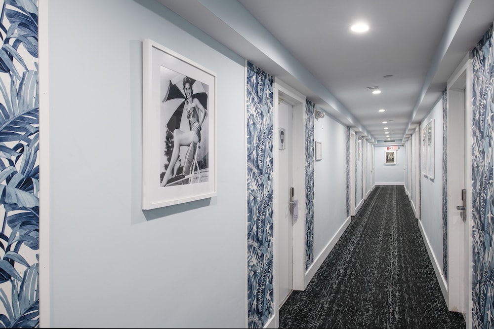 Penguin Hotel - photo 57