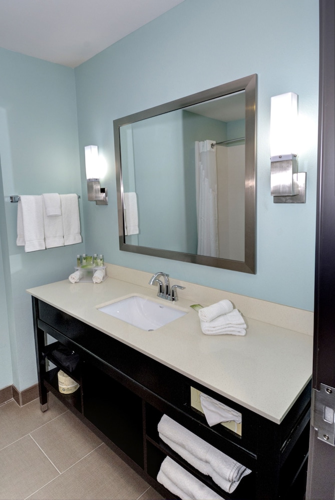 Holiday Inn Express & Suites Austin South by IHG - photo 7