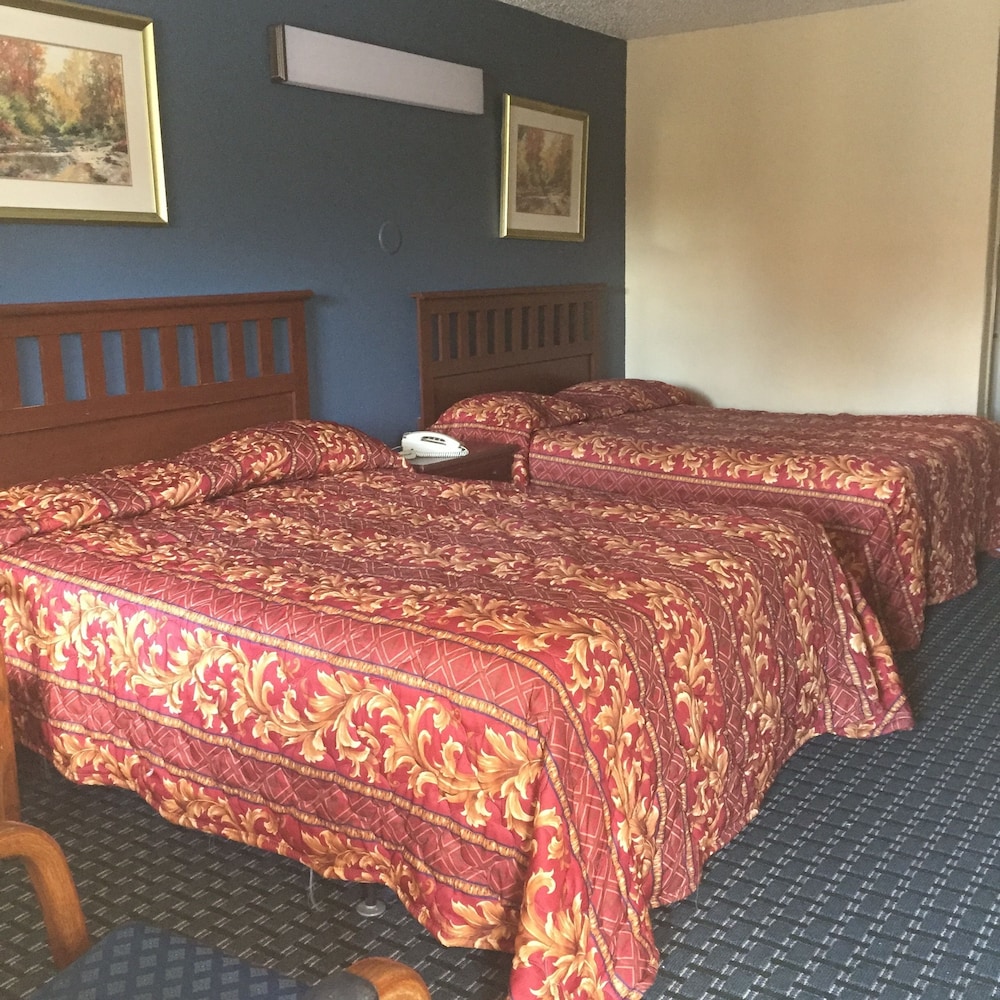Guest Inn & Suites - photo 5