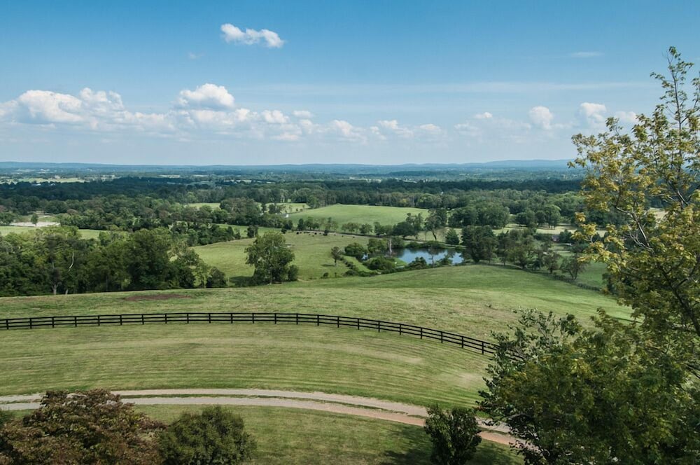 Weddings at Highholdborne — Chantilly — photo 3