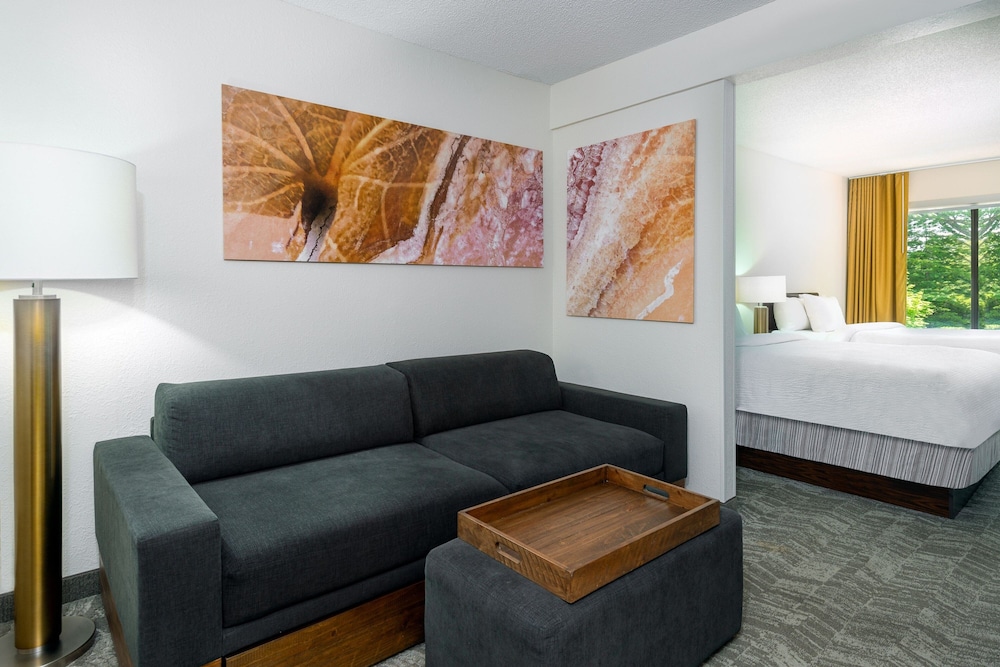 SpringHill Suites by Marriott Asheville - photo 7