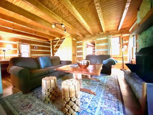 Alpine by The Chalets — Logan — photo 4