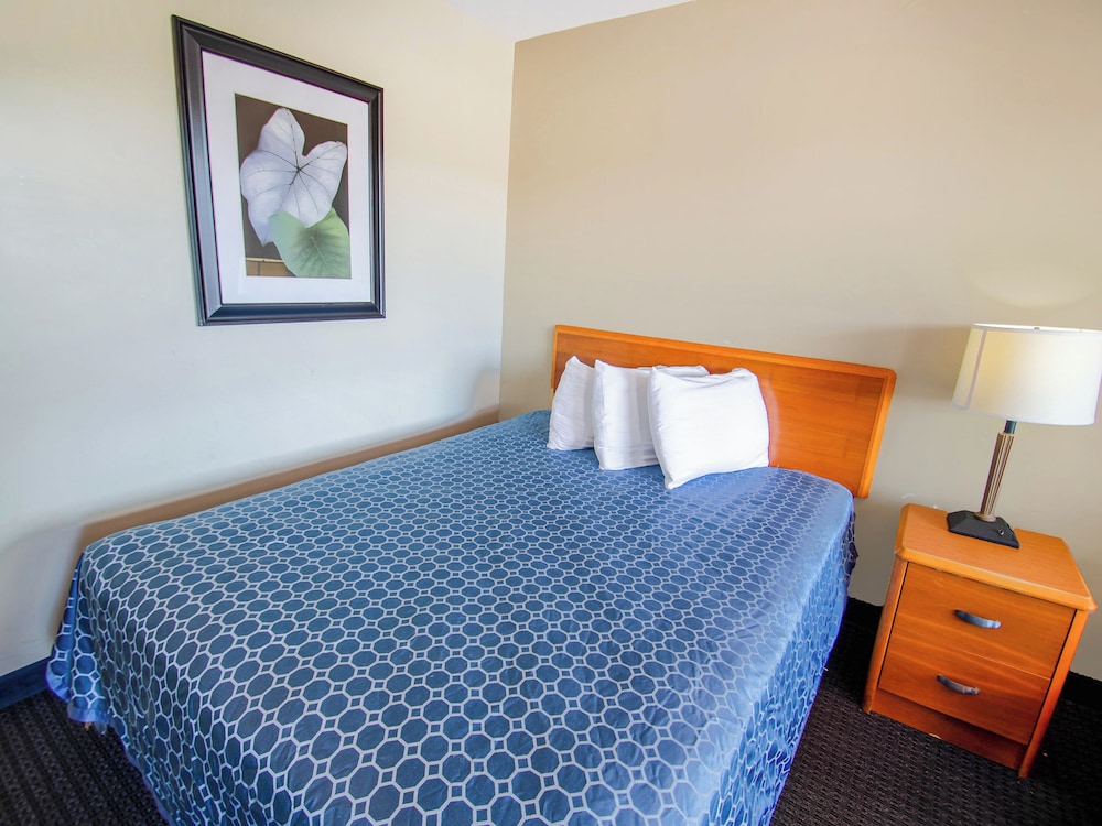 Sportsman's Inn Plymouth 252 793 3095 - photo 17