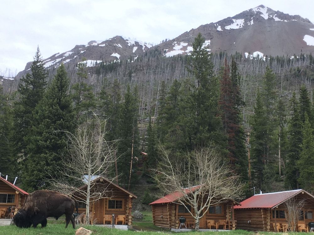 Silver Gate Lodging - photo 13