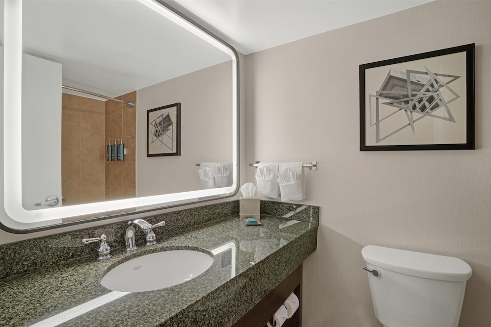 Hilton Arlington National Landing - photo 90