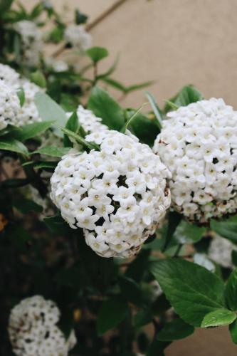 Birkagatan Vandrarhem in Visby, Sweden