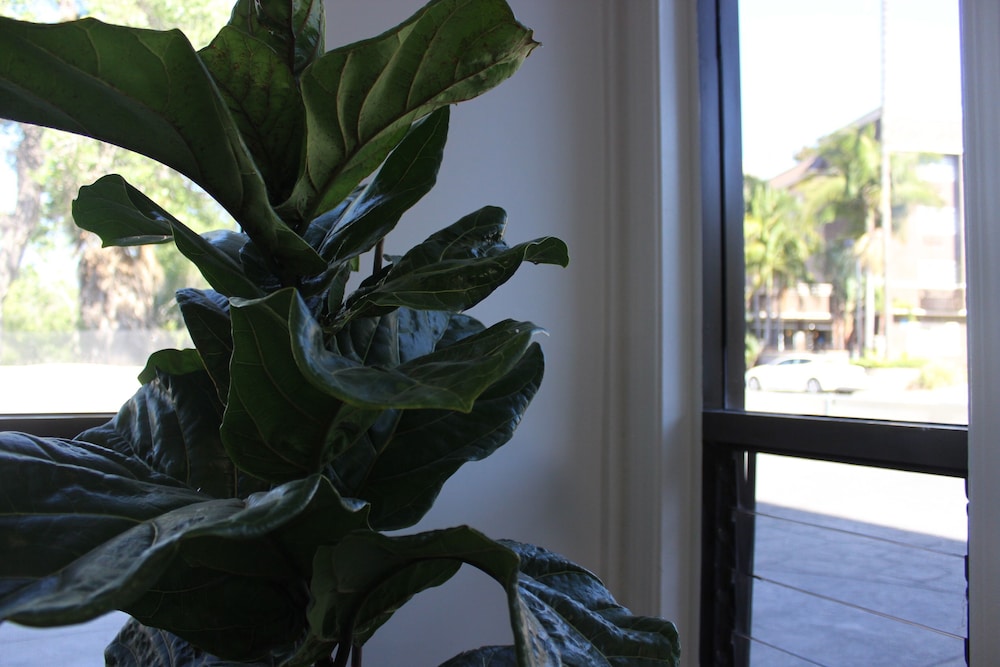 Riverleaf Inn Mission Valley - photo 3