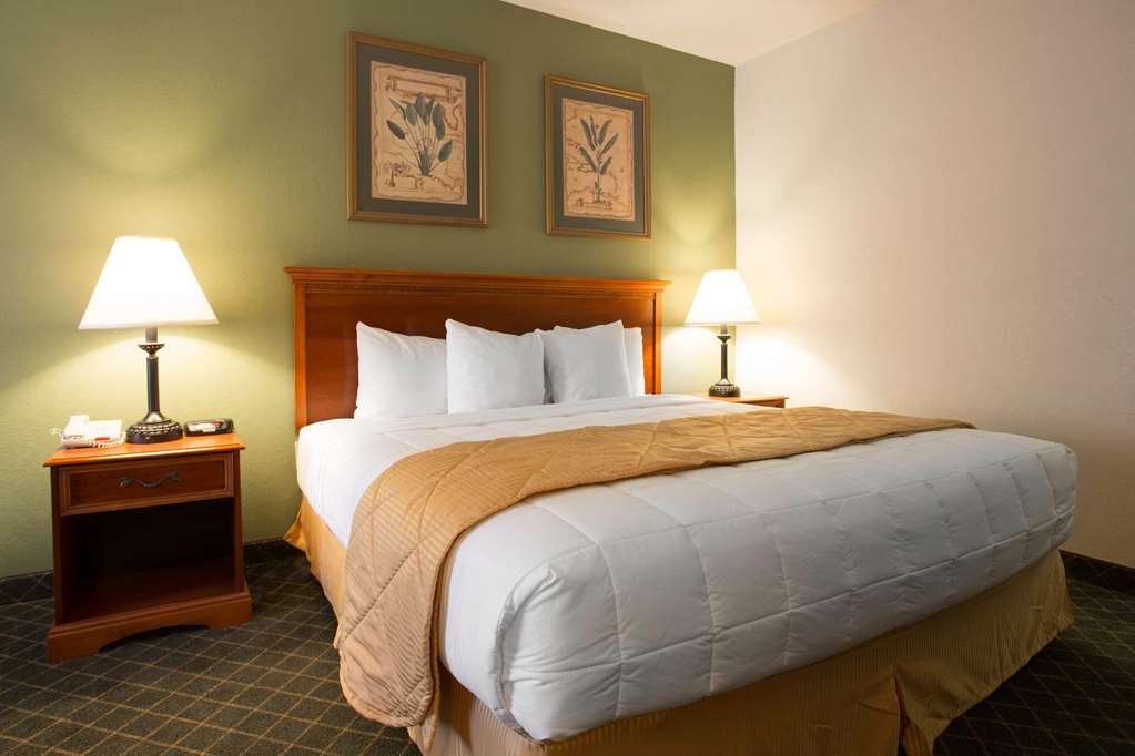Clarion Inn & Suites Aiken South - photo 8