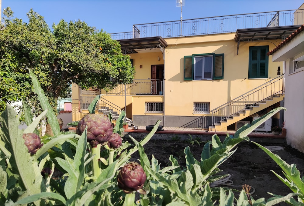 Antoniet - carbon neutral hotel in Naples