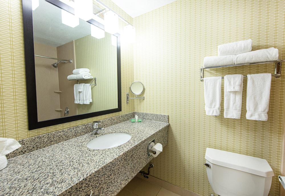 Holiday Inn St. Louis Arpt West Earth City by IHG - photo 31