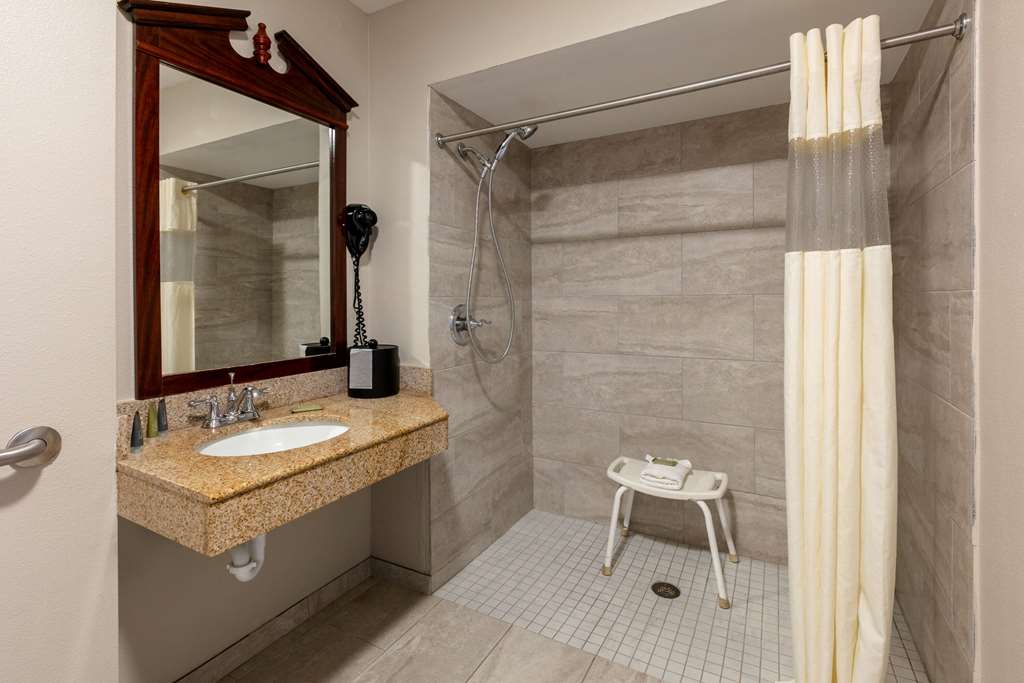 Wingate by Wyndham DFW North Irving - photo 41