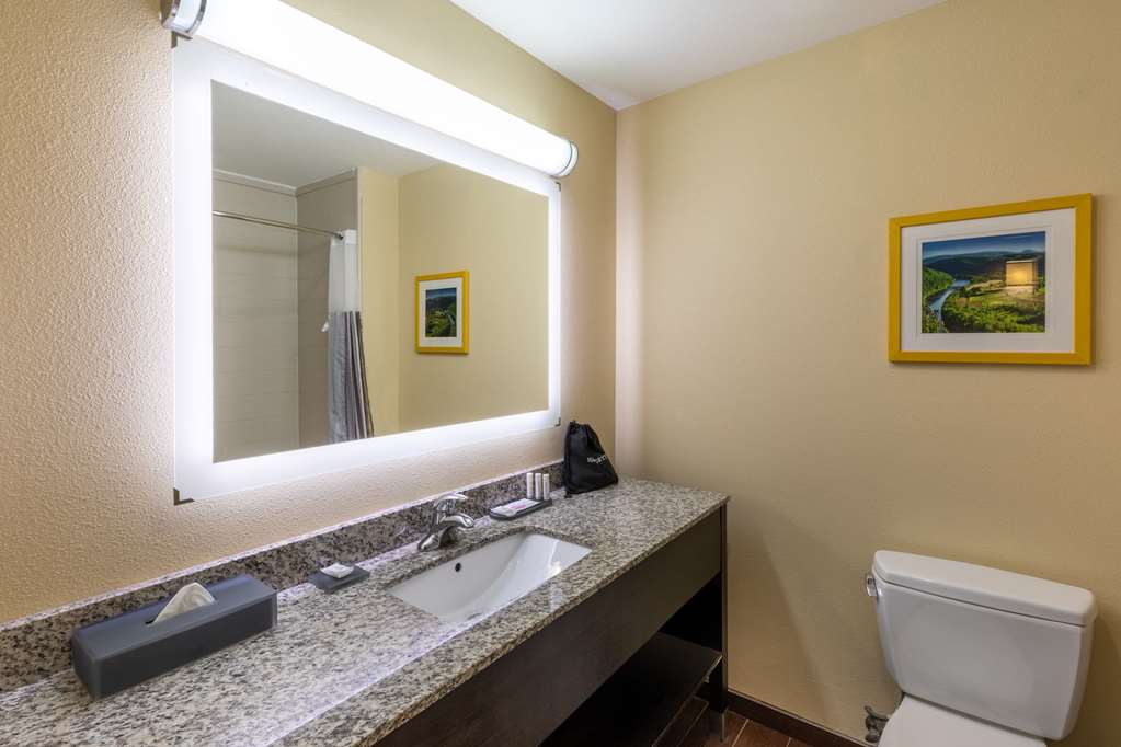 La Quinta Inn & Suites by Wyndham Durant - photo 27