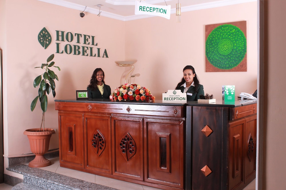 Hotel Lobelia — Addis Ababa — photo 5