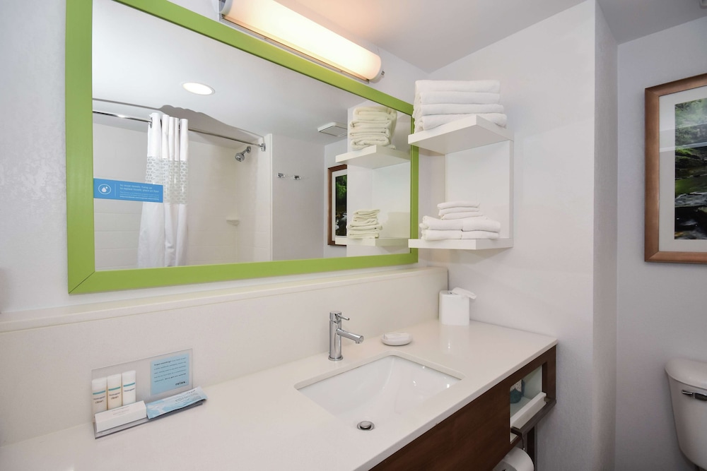 Hampton Inn Brevard - photo 14