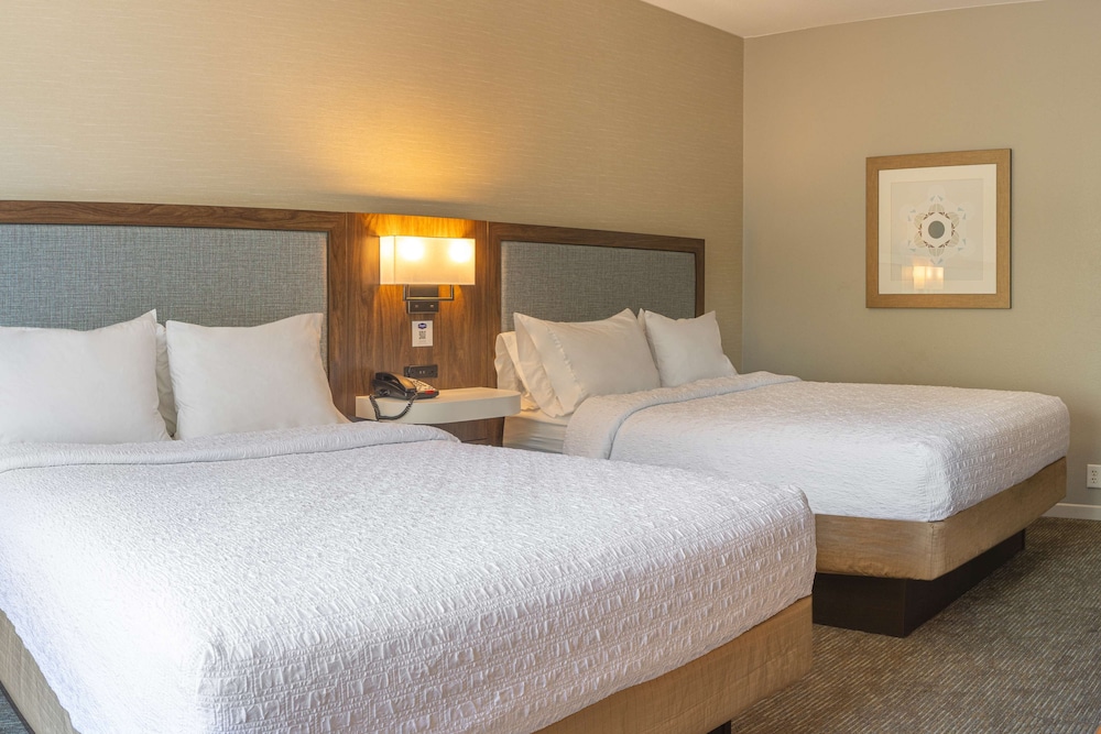 Hampton Inn & Suites Boerne - photo 16