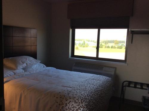 Scenic Shore Inn - photo 29
