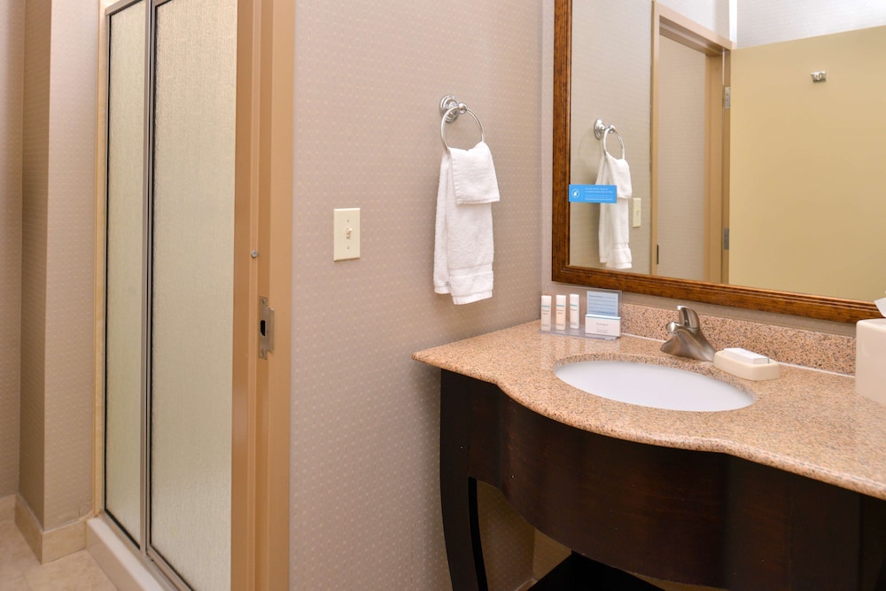 Hampton Inn Van Horn - photo 12