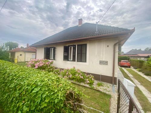Jól jársz vele — Balatonfenyves — photo 2