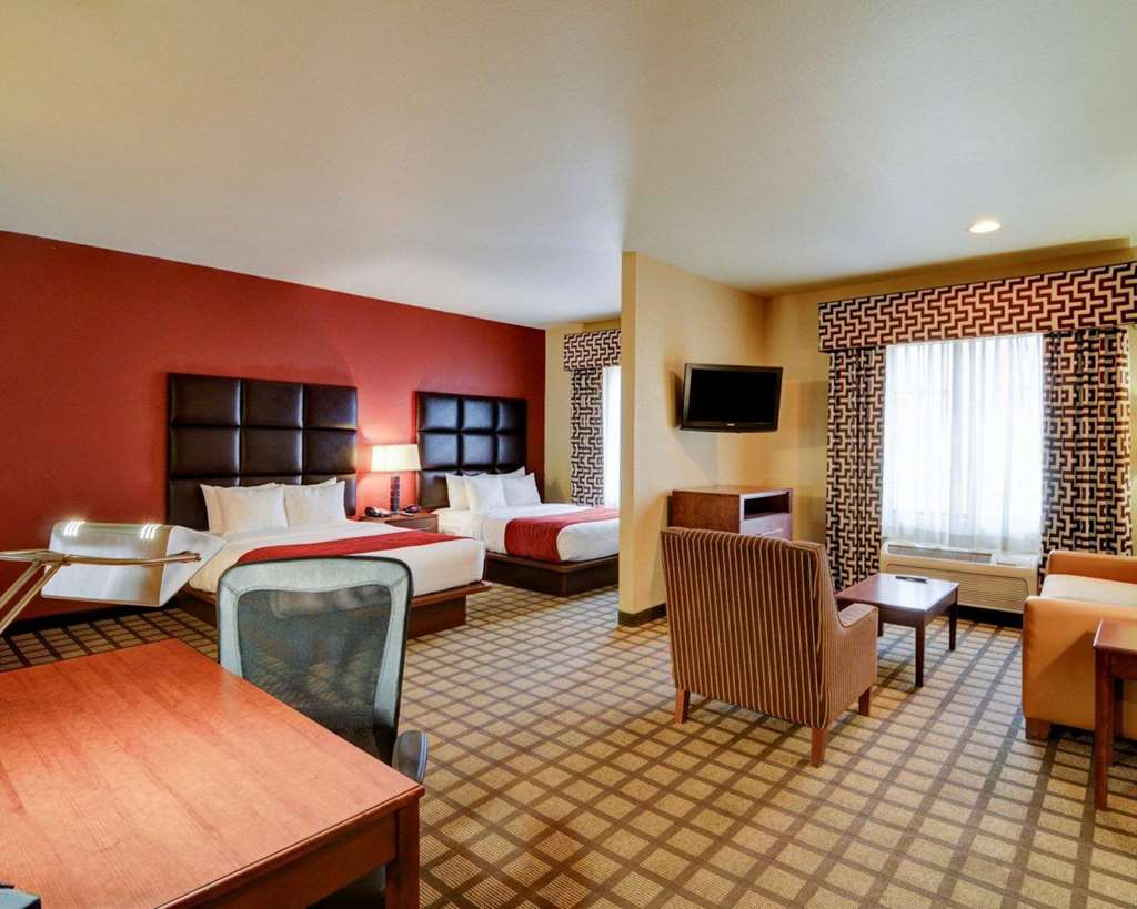 Comfort Inn & Suites Fort Smith I 540 - photo 45
