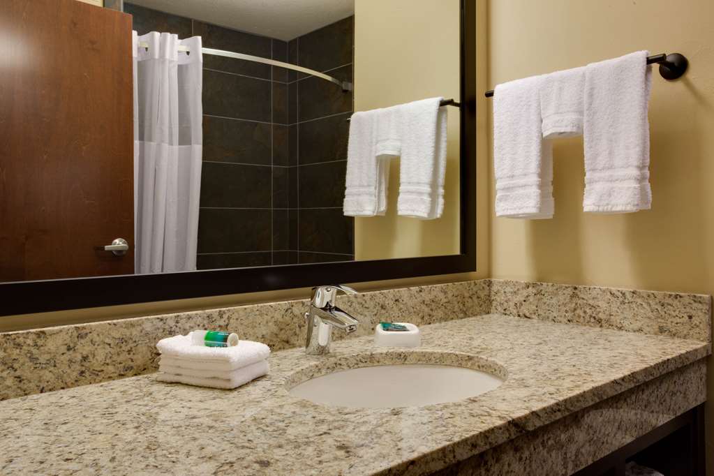 Drury Plaza Hotel Pittsburgh Downtown - photo 21