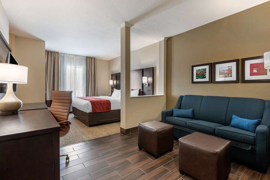 Comfort Inn & Suites Cedar Rapids CID Eastern Iowa Airport - photo 30